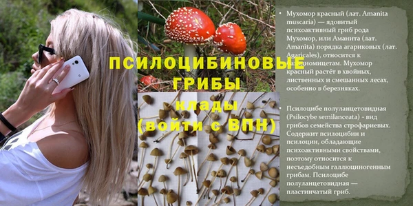 круглые Абаза