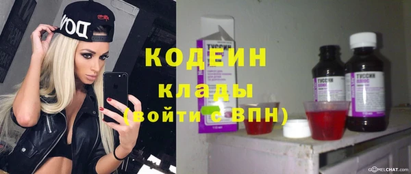 амф Анжеро-Судженск