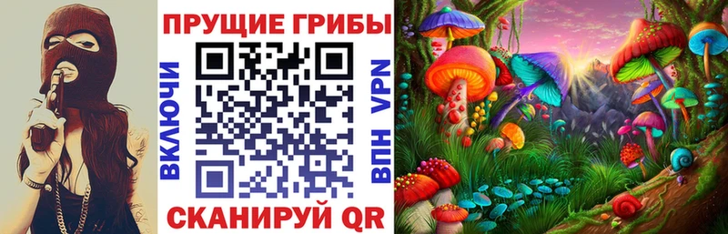 Галлюциногенные грибы Psilocybine cubensis  Дмитровск 